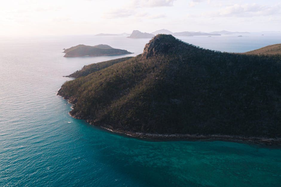 Great Barrier Reef - Photo 2
