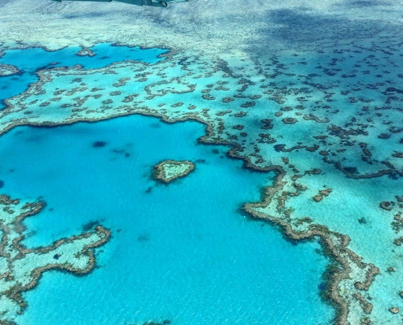 Great Barrier Reef - Photo 3