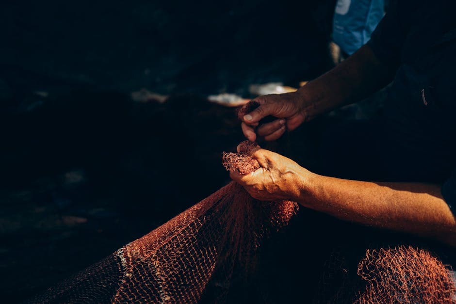 Ras Mohammed - Photo 6